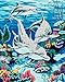 Produktbild Malen nach Zahlen Neuerscheinungen Neuheiten - DIY Ölgemälde durch Zahlen, Malen nach Zahlen Kits - Dolphins 16 * 20 Zoll - digitales Ölgemälde Segeltuch-Wand-Kunst-Grafik Landschaftsmalerei für Heim Wohnzimmer Büro Christmas Decor Decorations-Geschenke - DIY Farbe durch Zahl DIY Segeltuch-Kit für Erweiterte Erwachsene Kinder Senioren Junior - neue Ankunfts
