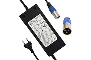 YZPOWER 29,4V 4A Chargeur Batterie, 24V 7S Lithium Batterie Chargeur pour Trotinette Electrique, Vélo Électrique, Hoverboard, 3 Broches XLR Connecteur