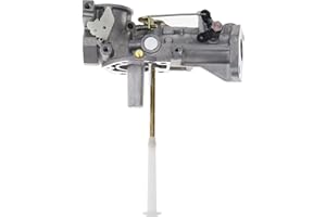 BIYM Carburateur avec Joints pour Briggs Stratton Modèle 135202 135207 135212 135217