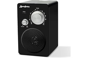 ByronStatics Portable Radio FM, Vintage Retro Radios, Main Powered and Battery Backup for Home & Outdoor, Strong Reception & Sound, Large Dial Easy to Use, Headphone Jack, Black