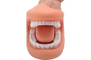 FABATER Marionnette à Bouche, Marionnette à Main à Moteur Oral à 28 Dents, Outil d'apprentissage éducatif en Silicone pour Enfants, Idéal pour L'affichage Pédagogique du Brossage