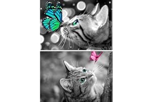 HMCEY 5D Daiment Painting Full Set Erwachsene Diamond Painting Kinder Malen Nach Zahlen Anfänger DIY Diamant Malerei Bilder Kits für Home Wand Weihnachts Dekoration, 30x40cm