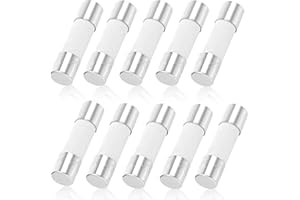 DEVENIRRICHE Ceramic Tube Fuses, 10 PCS Fast Blow Ceramic Fuses Tubes 5x20mm 3.15A 250V for Plugs