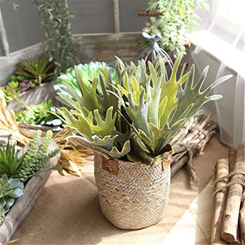 Fake Succulent 12.6" Tall Real Looking Faux Plants Gifts Garden Home Decor