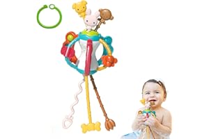 BAYUYI Jouets Montessori pour Bébés 6 12 18 Mois, Jouet d'activité en Silicone à Cordons, Jouets de développement précoce pour bébés pour Les compétences motrices Fines, Cadeau pour 18 Mois et Plus (C)