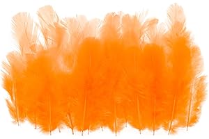 PATIKIL 1.5-3 Inch Saddle Hackle Rooster Feather, 300 Pcs Bulk Natural Feathers Fluffy Craft Feathers for Dream Catcher Earrings Pendant, Orange