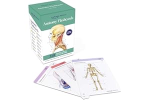 Anatomy Flashcards: 310 Clearly Labeled Full-color Cards