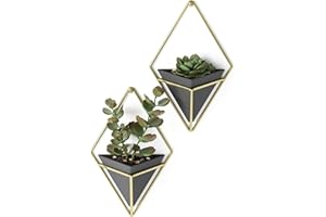 ‎UMBRA Umbra Trigg Wandvase & Geometrische Deko - Übertopf Für Zimmerpflanzen, Sukkulenten, Luftpflanzen, Kakteen, Kunstpflanzen und Mehr, Schwarz/Messing, 2er-Set, Klein