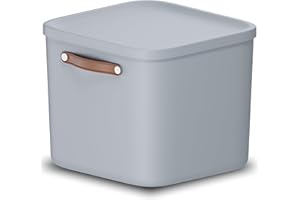 Rotho Maloja Scatola di stoccaggio 40 l, Plastica (PP riciclato), 40 (39.5 x 38.0 x 34.0 cm)