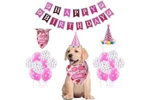 HIQE-FL Cappello e Bandana per Compleanno Cane, Set Regalo per Cane Femmina (Rosa)