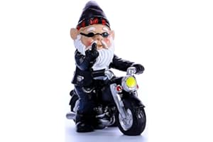 ‎AGCTRLER agctrler Gartenzwerg Motorrad Zwerge für den Garten, 13.3cmx13cm Lustige Gartenzwerg Gartenstatuen, Wasserdicht Sonnenschutz Gartendeko, gartenzwerge für Außen, Motorrad Geschenke für männer