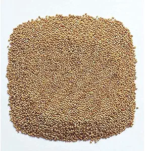 Pet Love's Kangni Seed Bird Food Foxtail Millet Seeds for Birds 1 KG