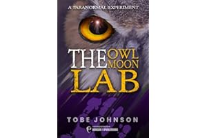 The Owl Moon Lab: A Paranormal Experiment