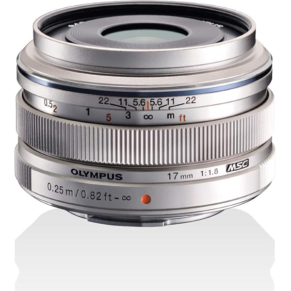 M.ZUIKO Digital 25mm 1:1.8ES-M2518 Silver : Amazon.in: Electronics