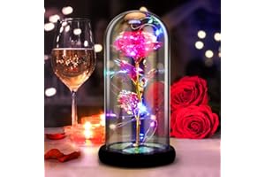 DASIAUTOEM Rose Eternelle, Rose la Belle et la Bete sous Cloche, Fleurs Eternelles Lumières LED Colorées dans Un Dôme en Verre, Idée Original Cadeau pour Saint Valentin Amie Femme Maman Anniversaire