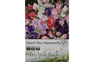 PRETTY WILD SEEDS Sweet Pea Mammoth Seeds in Pictorial Packets