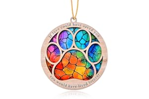 SHIQIAO SPL Memorial Suncatcher Hanging Ornament for Pet Owner - Sympathy Gift for Loss of Cat Dog - Paw Print Sun Catcher for Women Men