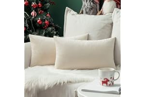 MIULEE Lot de 2 Housses de Coussins de Noël en Velours Décoratif Canapé Taie d'oreiller Super Lisse Doux Decoration Maison Salon Chambre pour Canapé 2 Pièces 30X50CM Beige