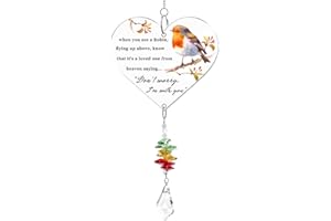 WUUTIAO Robin Memorial Gifts for Loved Ones, Acrylic Heart Keepsake Present Warm Hanging Heart Plaque Gifts with Poem Grave Decorations In Memoriam