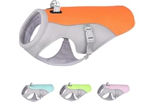 ENGEL WEMANG Gilet rafraîchissant pour chien - Taille moyenne et grande - Pour activités de plein air, randonnée, entraînement, prévention des coups de chaleur - Orange S