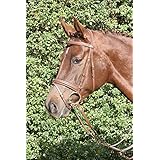 Hans Melzer Horse Equipment Trense Bad Harzburg