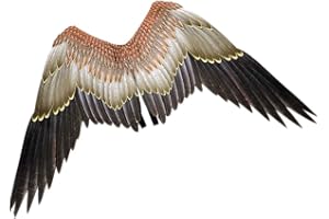 STOBOK Adlerflügel Vogel Kostüm Flügel Karneval Performance Requisite für Erwachsene Jungen Mädchen Neujahrsbühne Tier Verkleiden Sich 43. 23X27. 51 Zoll