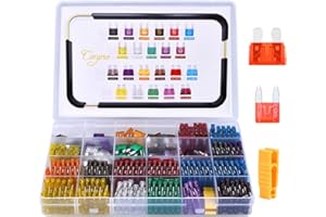 Conpro 300pcs Fusibili Auto, 150pcs Fusibili Auto Medio +150pcs Mini - 11 Specifiche Fusibile Auto : 2A 3A 5A 7.5A 10A 15A 20A 25A 30A 35A 40A, Con una Piccola Clip per la Sostituzione dei Fusibili