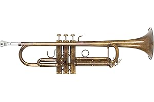 Lechgold TR-16V Bb-Trompete - aus Messing - Edelstahl-Ventile - inkl. Leichtkoffer und Mundstück - säurebehandelt und klarlackiert