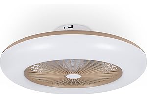 Noaton Ventilatore da soffitto 11055G Callisto Oro, con Illuminazione LED max 48W Dimmerabile 3 temperature di colore, telecomando, timer, portata d'aria fino a 45 m3/min, lampadario, diametro 55cm