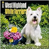 West Highland White Terriers 2014 - Westies: Original BrownTrout-Kalender [Mehrsprachig] [Kalender] by 