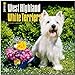 West Highland White Terriers 2014 - Westies: Original BrownTrout-Kalender [Mehrsprachig] [Kalender] by 