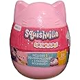 Squishmallows Squishville, Series 11 - Assorted Single - Official Kellytoy - Collectible Mini Stuffed Animal Toy Plush & Accessories, Styles May Vary - Add to Your Squad - Gift for Kids, Girls & Boys