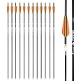 Carbon Arrow Hunting Arrows Spine 500 with 100 Grain Removable Tips for Archery Compound Bow Recurve Bow Practice Shooting (Pack of 12)
