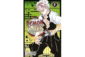 Demon Slayer - Kimetsu no Yaiba 17