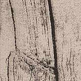 Sea Team Panier à Linge Pliable en Toile avec poignées en Cuir PU et Cordon de Serrage, intérieur imperméable, Tissu