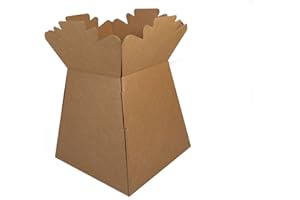 CNG FLORIST CUNDRIES 30 Transporter Box/Flower Paper Box vase Natural (3771)