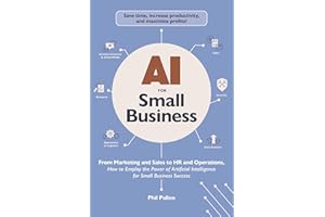 AI for Small Business: From Marketing and Sales to HR and Operations, How to Employ the Power of Artificial Intelligence for Small Business Success (AI Advantage)