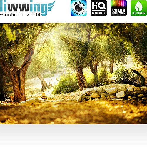 Fototapete Wald – ALLE WALDMOTIVE auf einen Blick ! Vlies PREMIUM PLUS – 200×140 cm – SUMMER TREES – Wald Sonne Steine – no. 265 - 2