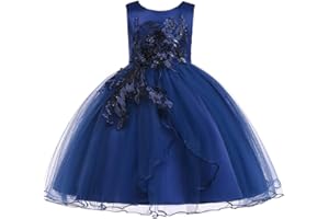 Lenefu Girls Party Dress, Birthday Girl Dresses, Suitable Birthdays Flower Girl Dresses for Weddings and Other Special Occasions for Ages 2-10