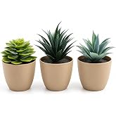 &Uuml;&ccedil;l&uuml; Mini Yapay Sukulent Seti &ndash; 8 cm Saksı, Dekoratif K&uuml;&ccedil;&uuml;k Bitki Seti, Ger&ccedil;ek&ccedil;i G&ouml;r&uuml;n&uuml;m, Salon Ofis Ev Masa &Uuml;st&uuml; S&uuml;s Bitkisi