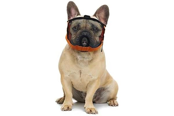 Muselière brachycéphale pour Chien à Face Plate/Bouche Courte Bouledogue, Carlin, Boston Terrier. Couleur Noire, Fabriquée en UE (S Tour de tête: 38-50cm)