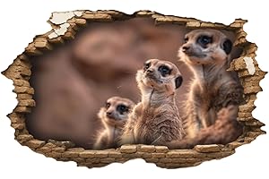 ‎SAMUNSHI Samunshi® Wandtattoo Wandriss mit Erdmännchen Familie Fenster in andere Welt Portal Wanddekoration Wandsticker für Kinderzimmer Wohnzimmer Wanddeko Küche 30x18cm