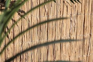 Mugar- Valla de Bambú Natural para Ocultación y Decoración- Privacidad Máxima. Ocultación Total- Bambú en Rollos para Jardín (1x5 metros)