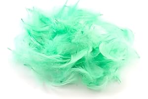 CREATIVERY Plumas para manualidades (5 g, 5-10 cm), color verde menta/menta 513