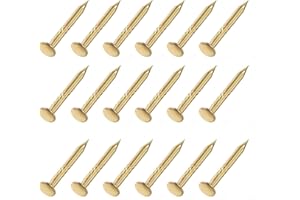 METALLIXITY Petit Clous (1x10mm) 200pcs, Carbone Acier Minuscule Quincaillerie Clous - pour Ménage Travail Bois, Doré
