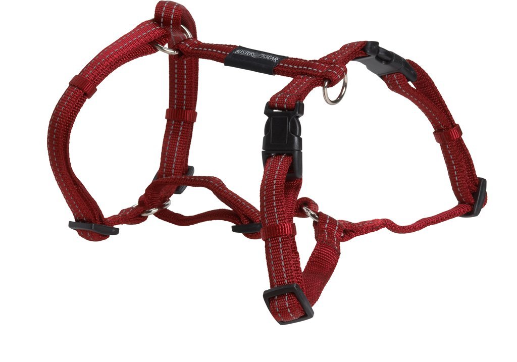 Buster H-Harness, Medium, Red