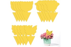 MENNYO 15 Pieces Anti Moucheron,Attrape Mouche Interieur,Pièges à Insectes Cuisine Sticky Bug Catchers pour Jardin Plante Fleur Fruits