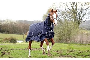 Rhinegold Full Neck Arizona Rug Mediumweight 100gsm polyfill