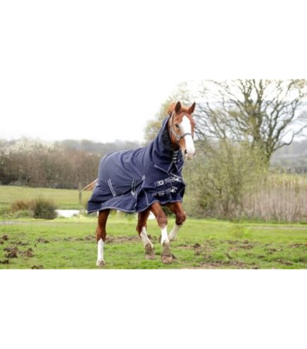 Rhinegold 200g 'Konig' Small Pony/Foal Outdoor Rug | Staffs Saddlery - View #9