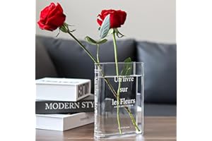 shallyong Książka wazon akrylowy, przezroczysty wazon na książki, wazon na kwiaty do sypialni, salonu, kuchni
